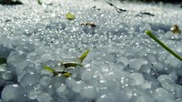 hail-1171584-1280x960.-detail.jpg