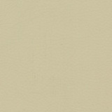 ivory.jpg