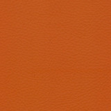 oranje.jpg