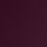 plum.jpg