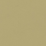 sahara.jpg