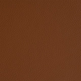 saddlebrown.jpg