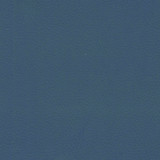 japanese-blue.jpg