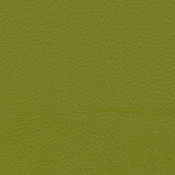 lime.jpg