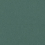 green.jpg