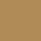 4171_camel.jpg