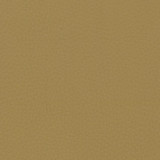 sand.jpg